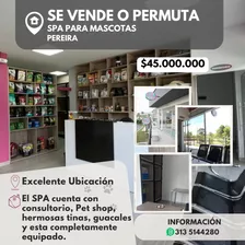 Spa Y Venta De Concentrados Para Mascotas