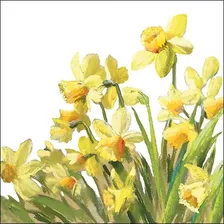 Pct. De Guardanapos Ambiente 20 Un. Golden Daffodils