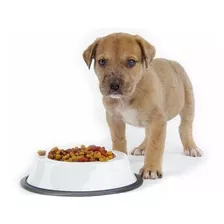 Mundo Mascota Alimento Perro Al Mejor Precio + Envío