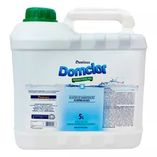 Algicida De Manutenção Previne Piscina Verde 5 L Domclor