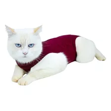 Roupa Pós Cirúrgica Braspet Para Gatos - Tamanho 02