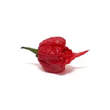 Carolina Reaper Hp22b Todo Brasil 50 Sementes Super Ardida