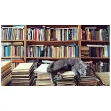 Lote 20 Livros Usados E Variados P/sebos Ou Bibliotecas