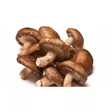 Hongos Shiitake 1 Kg Frescos