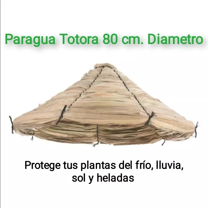 Paragua De Totora