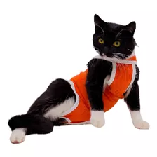 Roupa Pós Operatório N2 Para Gatos Adultos De 3 Até 3,8 Kg