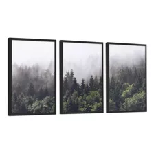 Quadros Decorativo Floresta Pinheiro Neblina C/ Vidro 40x60