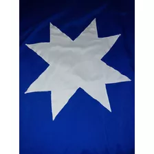 Bandera Mapuche 150 Por 100 Cms
