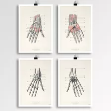 Anatomía Humana 9-7-10-8 - Póster Vintage Antiguo Decoración