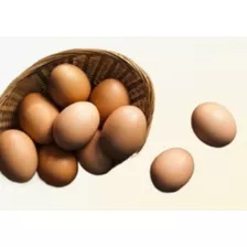 Huevos De Campo Colorados