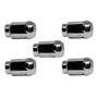 (1) Banda Accesorios Micro-v Alt, D/h Sebring 2.5l V6 95/00