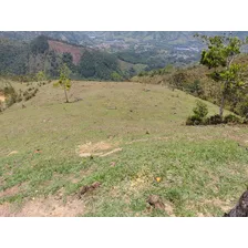 Hermoso Terreno En Barbosa Antioquía 