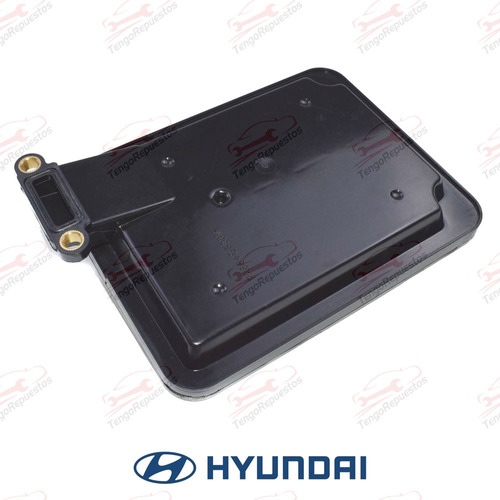 Filtro Caja Automtica A6mf1 Hyundai Elantra Tucson Santa Fe Foto 2