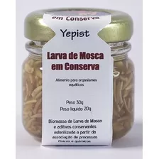 Larva De Mosca Em Conserva Alimento Para Peixes 20g - Yepist