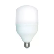 Foco Led De Alta Potencia De 30w Philco Adaptador A Mogul