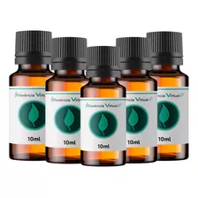 Kit Com 15 Essências - Essência Virtual 10 Ml