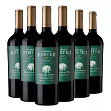 Vino Foster Single Vineyard Los Altepes Caja 6x750ml
