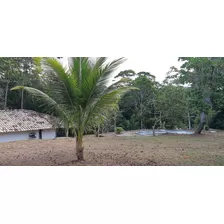 Venda Sitio Em Itacaré Bahia Com Casa E Piscina Pra Reforma