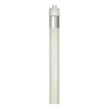 Lâmpada De Led Tubular T8 10w 60cm Br Fria 6500k Biv Embuled Cor Da Luz Branco-frio 110v/220v
