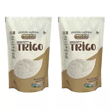 Kit 2 Farinha De Trigo Integral Orgânica Ecobio 400 G