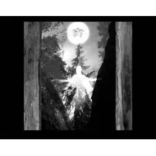 Taatsi - Amidst The Trees (cd, 2014) Atmospheric Black New!!