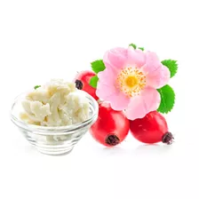 Manteiga Vegetal De Rosa Mosqueta 100g 100% Pura