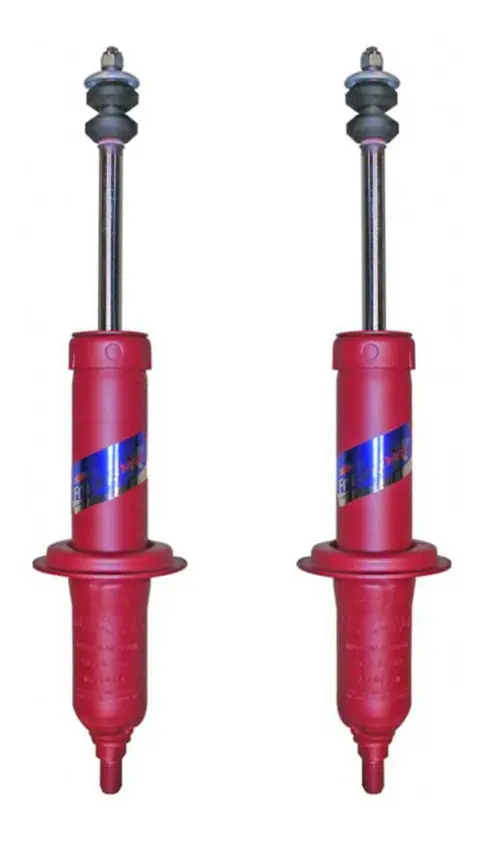 Kit 2 Amortiguadores Delanteros Renault R12 4/p 85/95