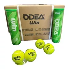 4 Pelotas Tenis Odea Passion - 1 Tarro - Calidad Premium