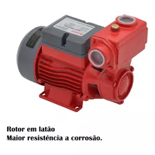 Bomba De Agua Autoaspirante Eletrica Bb500a 0,5cv Bivolt Cor Vermelho