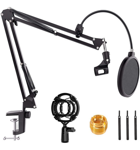 Soporte Brazo Microfono Condensador Para Estudio Grabación