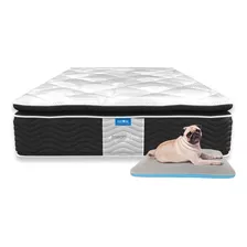 Colchón Individual Restonic Ortopédico + Cama Para Mascota