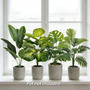 Kit 4 Plantas Artificiais Decorativas Para Casa Verde
