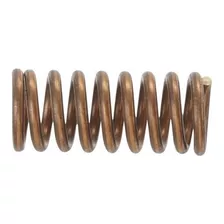 Kohler K32622 Metal Spring