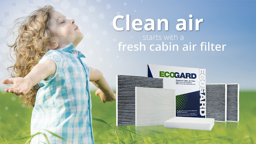 Ecogard Xc36174 Filtro Para Aire De Cabina De Mxima Calidad Foto 5
