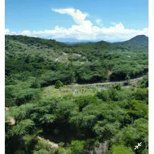 Se Vende Finca De 378 Tareas En Potrero, Valverde