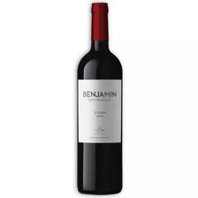 Benjamin Nieto Senetiner Vino Syrah X 750ml