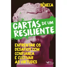 Cartas De Um Resiliente Livro Iii, De Lúcio Aneu Sêneca. Editora Faro Editorial, Capa Mole Em Português, 2022