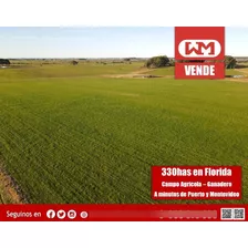 Venta Campo Flores 330 Has Agrícola Ganadero Alto Porcentaje En Chacras A Minutos De Puerto Y Cuidad De Montevideo