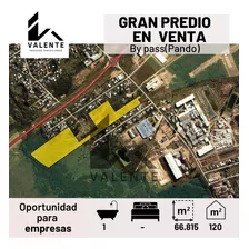 Gran Predio Logístico En Venta: 66.815m²