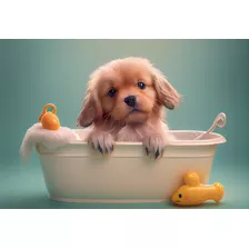 Adesivo Decorativo Banho E Tosa Puppy