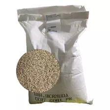 Semillas Grass Bermuda: Césped Perfecto-5kg