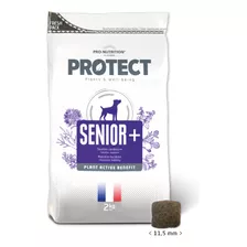 Protect Alimento Senior+ Canino 12kg