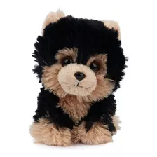 Gund Boo, El Perro Más Lindo Del Mundo, La Colección Boo & F