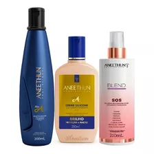 Kit Aneethun Linha A Shampoo E Creme + Blend - 3 Itens