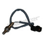 Antena Aleta Tiburon Radio Para Hyundai Accent Sedan 2021