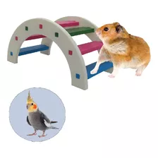 Escada Brinquedo Hamster Porquinho Índia Calopsita E Outros