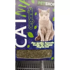 Cat Nip Organico Gatos Mascota 