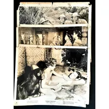 Antiguas Fotos Cine Triunfo De Tarzan Lobby Card - Germanes