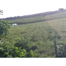 Te Vendo Hermosa Finca Bayaguana