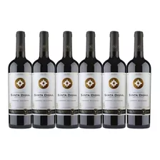 6x Vino Miguel Torres Gran Reserva Santa Digna Cabernet